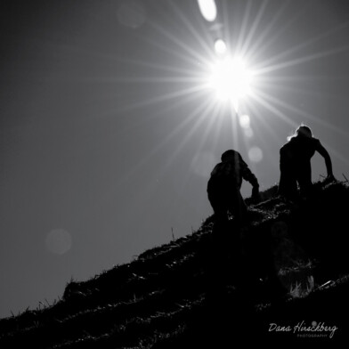Heavens Reach: Bastiao Farms, Sacramento, California, 2007