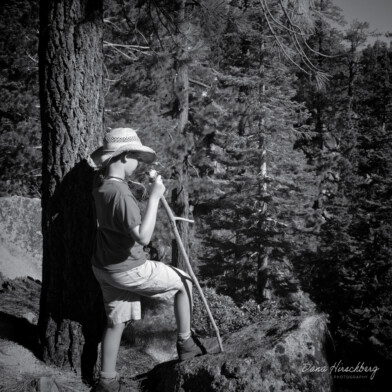 Pondering Boy: Toiyabe National Forest, Gardnerville, Nevada, 2012