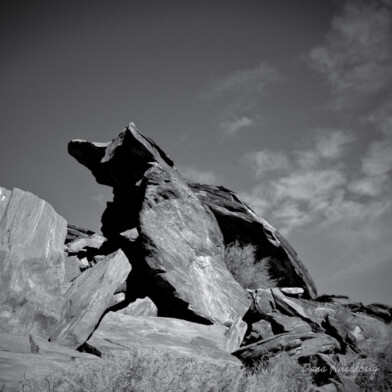 Pride Rock: Andreas Canyon Train, Indian Canyons, Palm Springs, California, 2007