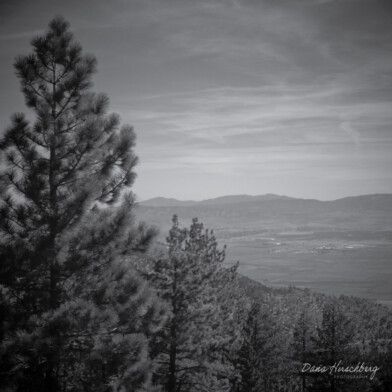 Tree Valley: The Ridge Tahoe, Lake Tahoe, Nevada, 2011