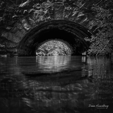 Emerald Bay State Park, South Lake Tahoe, California, 2026 Culvert Creek - Emerald Bay State Park, South Lake Tahoe, California, 2026