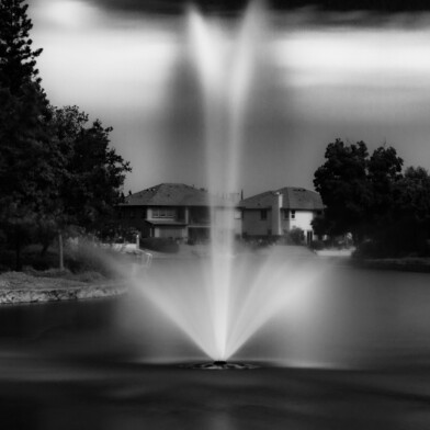 Sacramento, California, 2026 Fountain Lake - Sacramento, California, 2026