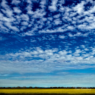 Sky Field, Study 2 - Sacramento, California, 2026