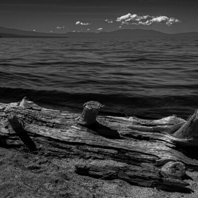 South Lake Tahoe, California, 2026 Stump Lake - South Lake Tahoe, California, 2026