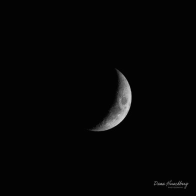 Dark Moon, Study 1 - Sacramento, California, 2026