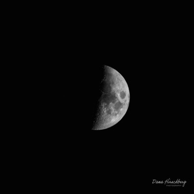 Dark Moon, Study 2 - Sacramento, California, 2026