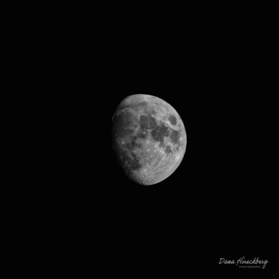 Dark Moon, Study 4 - Sacramento, California, 2026