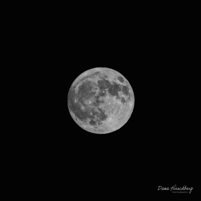 Dark Moon, Study 6 - Sacramento, California, 2026