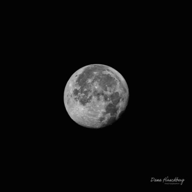 Dark Moon, Study 7 - Sacramento, California, 2026