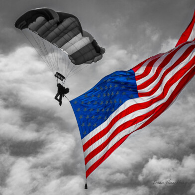 Patriot Drop, Study 2 - Mather Air Force Base, Mather, California, 2011