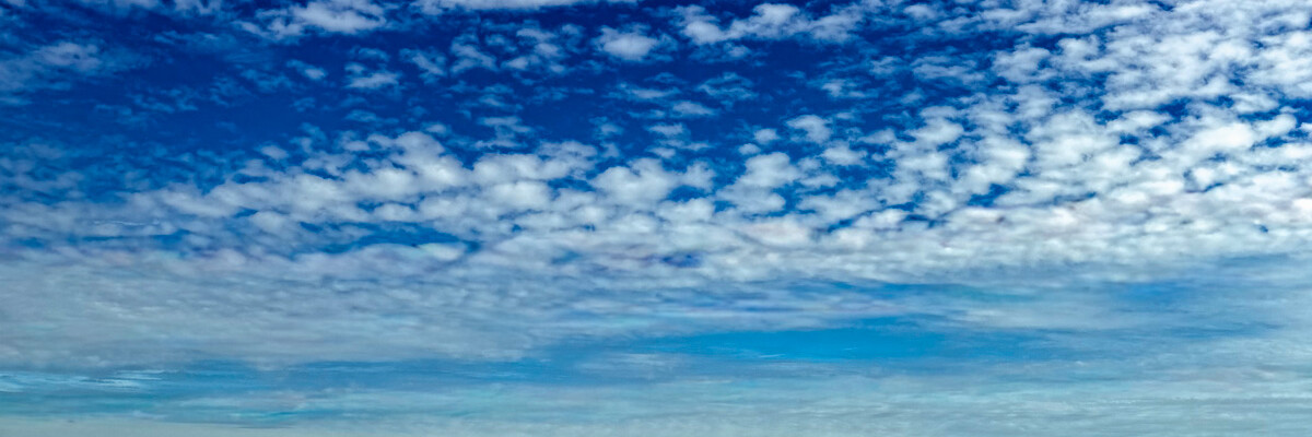 Sky Field, Study 1 - Sacramento, California, 2026