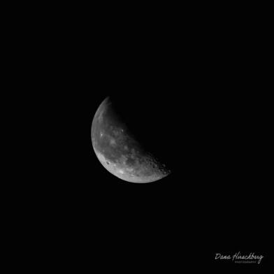 Dark Moon, Study 10 - Sacramento, California, 2026