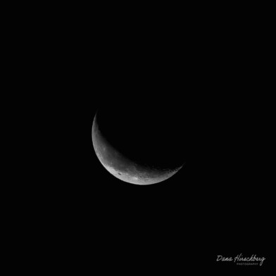 Dark Moon, Study 11 - Sacramento, California, 2026