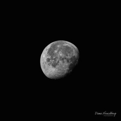 Dark Moon, Study 8 - Sacramento, California, 2026
