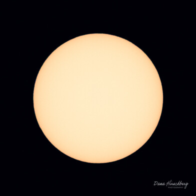 Sun Shine - Sacramento, California, 2026